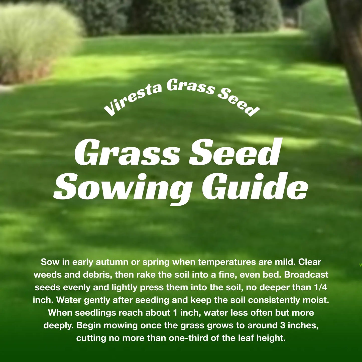 💥Early Spring Sale 49% OFF💚 All-Season Grass Seed Blend | Fast, Durable & High-Germination for Premium Turf-EV