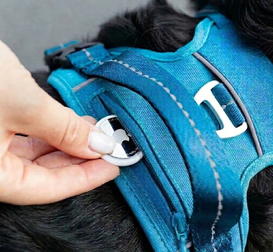 The Ultimate No-Pull Solution: Protect Your Shoulders & Keep Your Dog Safe! ❌💪-EV