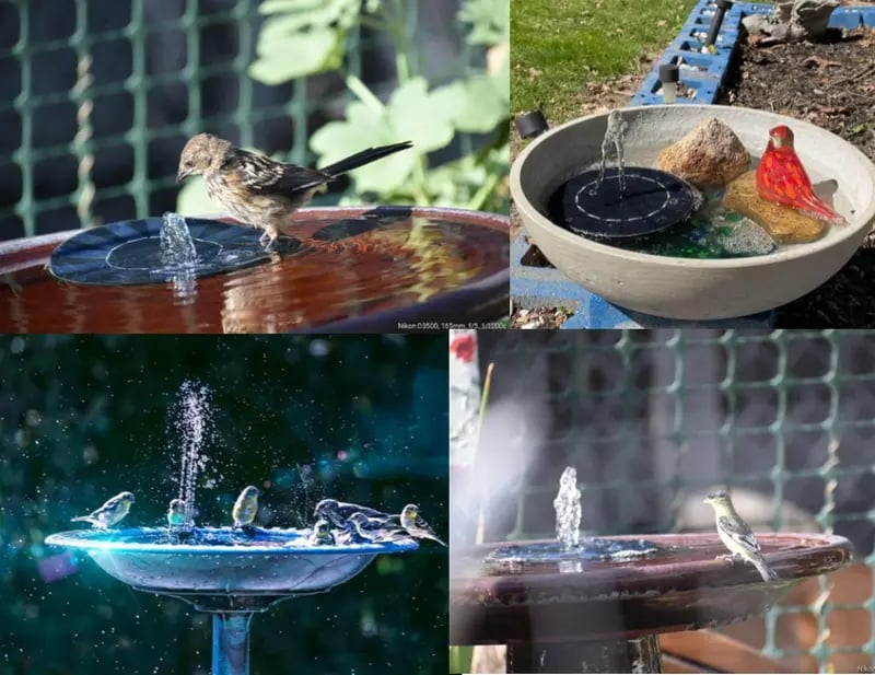 ⏰LAST DAY 49% OFF🔥7 Ways This Solar Fountain Pump Turns Your Garden Into a Serene Paradise (No Electricity Required!)-EV