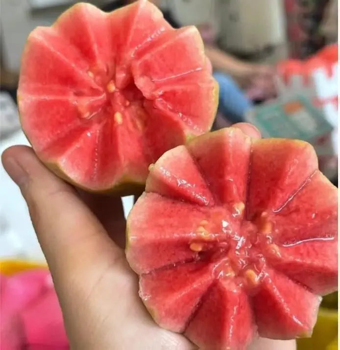 💥Early Spring Sale 49% OFF💚 Reliable Organic Pink Guava Seeds – Easy to Grow, High Germination, Perfect for Home Gardens! 🍈-EV