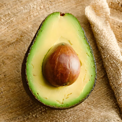 🥑Avocado Growing Kit – Organic Mexican Variety for Home Gardens-ZZZ
