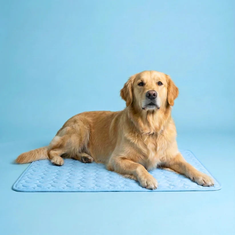 Pet Cooling Mat | Protect Your Dog From Overheating With Continuous Heat Conduction-OA