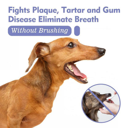 Pet Oral Care Spray – Fresh Breath & Cleaner Teeth, No Brushing Needed-BP