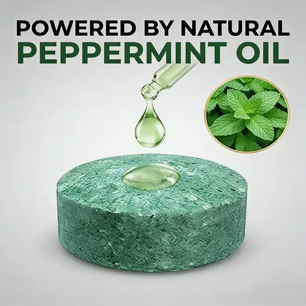 🌿Natural Peppermint Rodent Repellent Balls (12 Pack) – Keep Rats, Mice & Pests Away Safely-EV