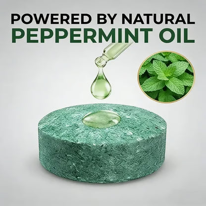 🌿Natural Peppermint Rodent Repellent Balls (12 Pack) – Keep Rats, Mice & Pests Away Safely-EV