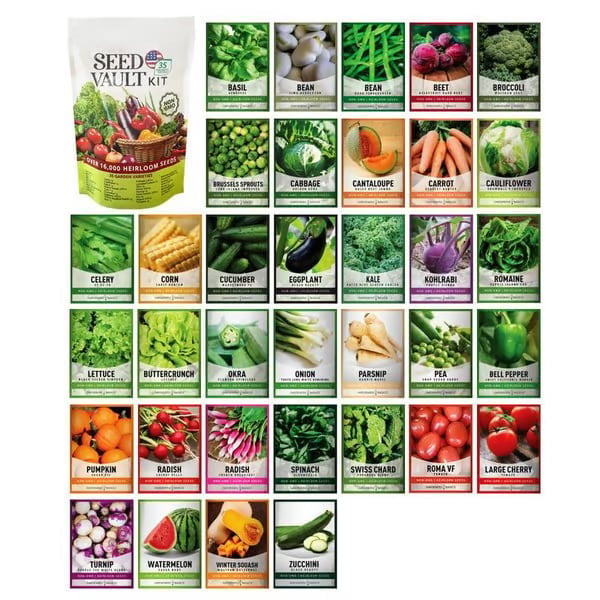 🏆 ¡MÁS DE 50 MIL VENDIDAS LA SEMANA PASADA! - 🥦Bóveda definitiva de semillas para la supervivencia |🌿 50 años de vida útil✨ -KKK