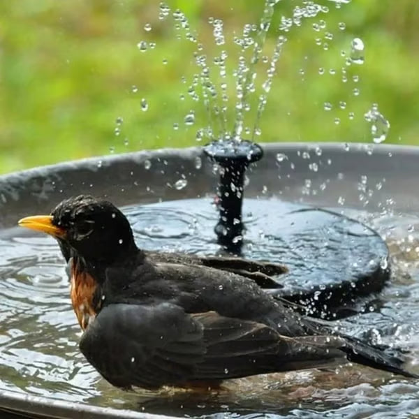 ⏳Oferta por Tiempo Limitado⏰Bomba de Fuente Solar Compacta para Pájaros – ¡Mantén tu Jardín Vivo! 🐦️ -KKK