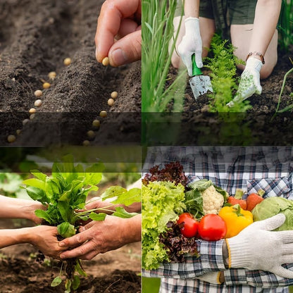🏆 ¡MÁS DE 50 MIL VENDIDAS LA SEMANA PASADA! - 🥦Bóveda definitiva de semillas para la supervivencia |🌿 50 años de vida útil✨ -KKK
