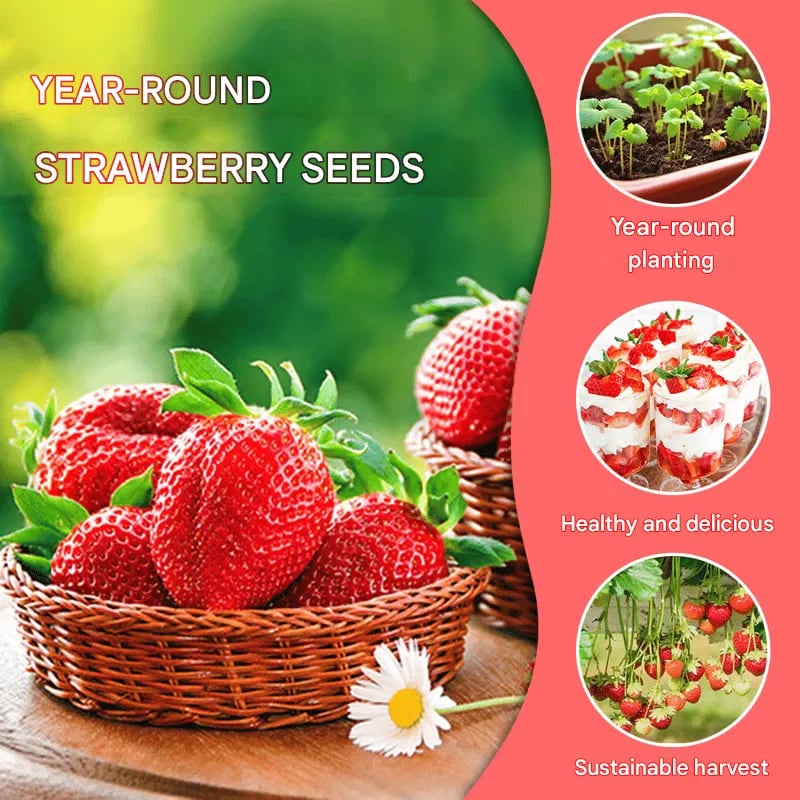 Cream Strawberry Seeds main image