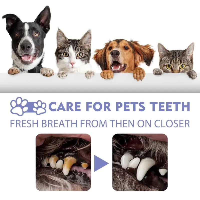 Pet Oral Care Spray – Fresh Breath & Cleaner Teeth, No Brushing Needed-BP