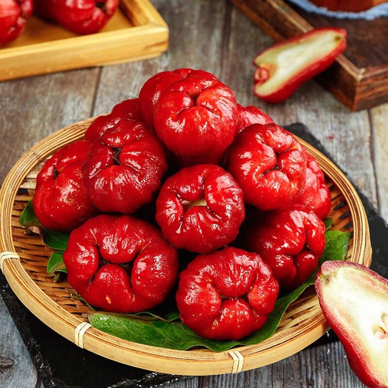 🏡 Farm Fresh, Straight to Your Door🍎 Grow Your Own Wax Apple Tree – Easy-Care & Perfect for Beginners!-ZZZ