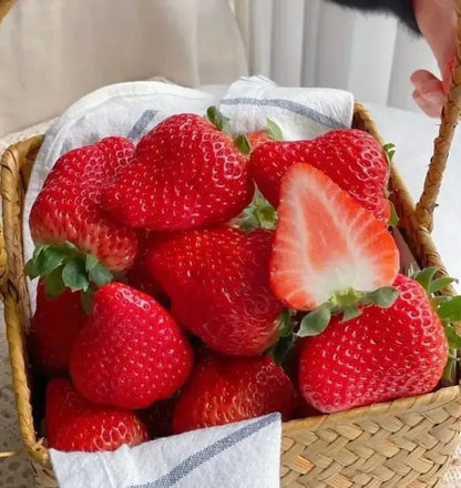 Cream Strawberry Seeds benefit image 5