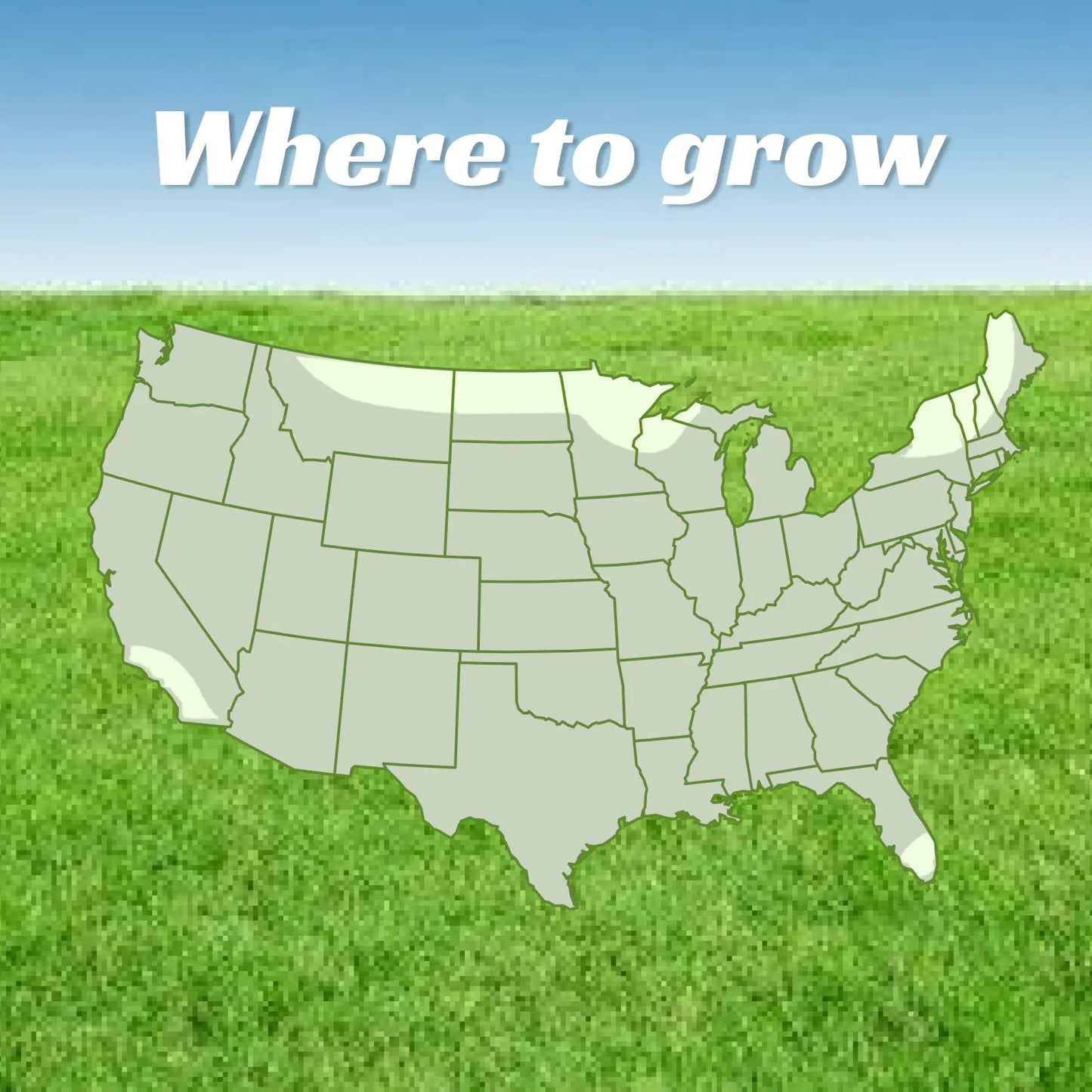 💥Early Spring Sale 49% OFF💚 All-Season Grass Seed Blend | Fast, Durable & High-Germination for Premium Turf-EV