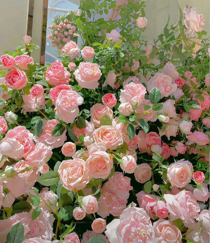 🌺 Premium Climbing Rose Seeds | 3-Day Germination |🌹 18 Mixed Color Varieties for Elegant Gardens -KKK