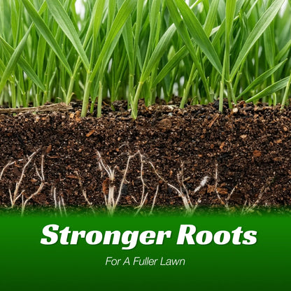💥Early Spring Sale 49% OFF💚 All-Season Grass Seed Blend | Fast, Durable & High-Germination for Premium Turf-EV