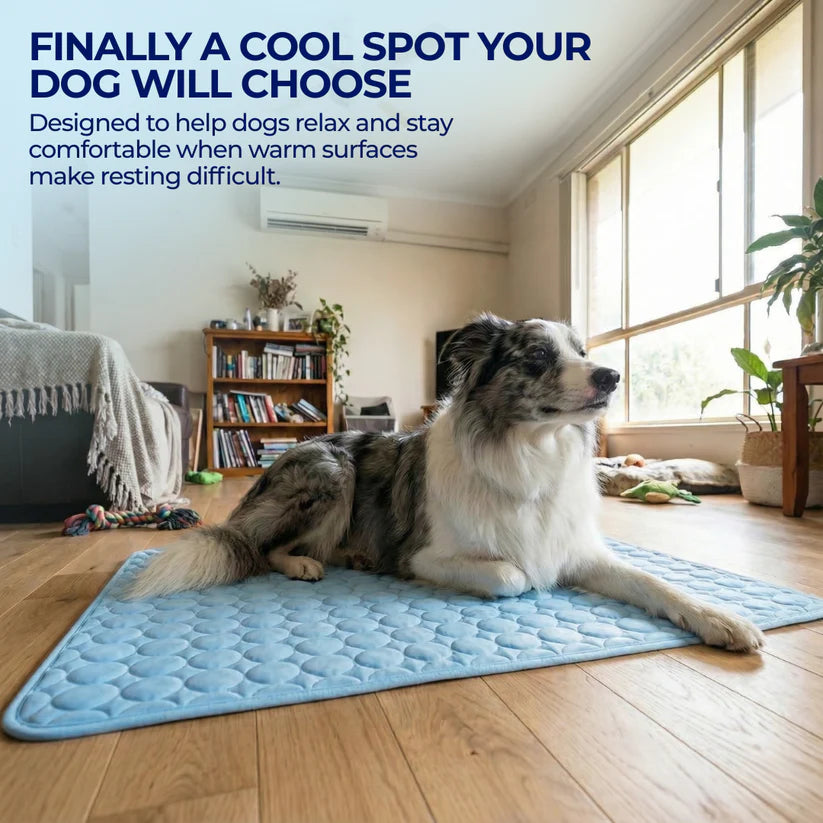 Pet Cooling Mat | Protect Your Dog From Overheating With Continuous Heat Conduction-OA