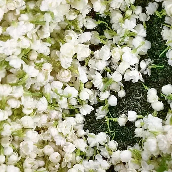 Let jasmine blooms fill your home with fragrance! Our jasmine brings charm to any room and purifies the air. Limited-time offer—bring the beauty home now!-BP