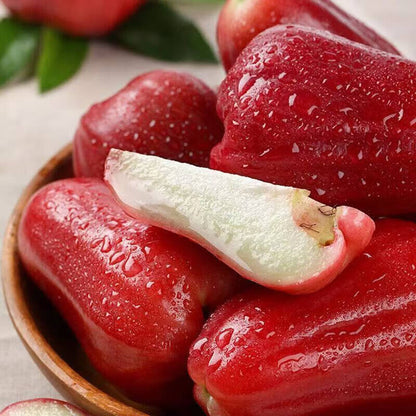 🏡 Farm Fresh, Straight to Your Door🍎 Grow Your Own Wax Apple Tree – Easy-Care & Perfect for Beginners!-ZZZ