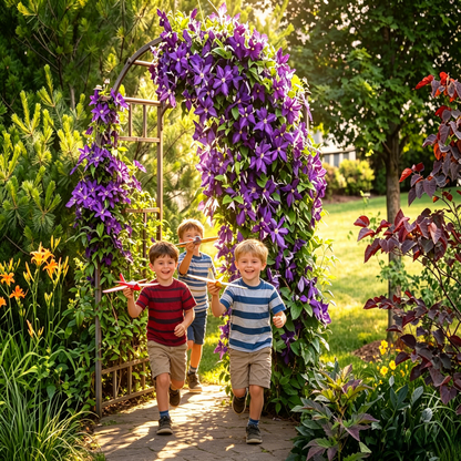 🔥50K+ SOLD! Grow Your Dream Garden: Non-Stop Blooming Clematis Seeds – Bloom All Summer Long!-EV