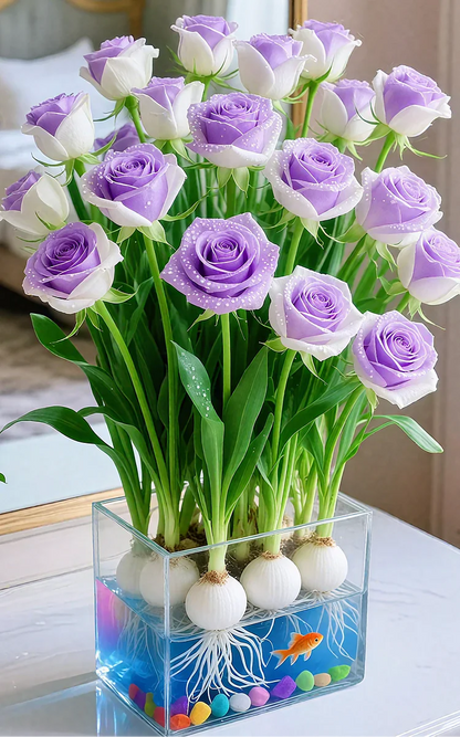 🌹 Hydroponic Roses – Bloom Without Soil! 🌹-TY