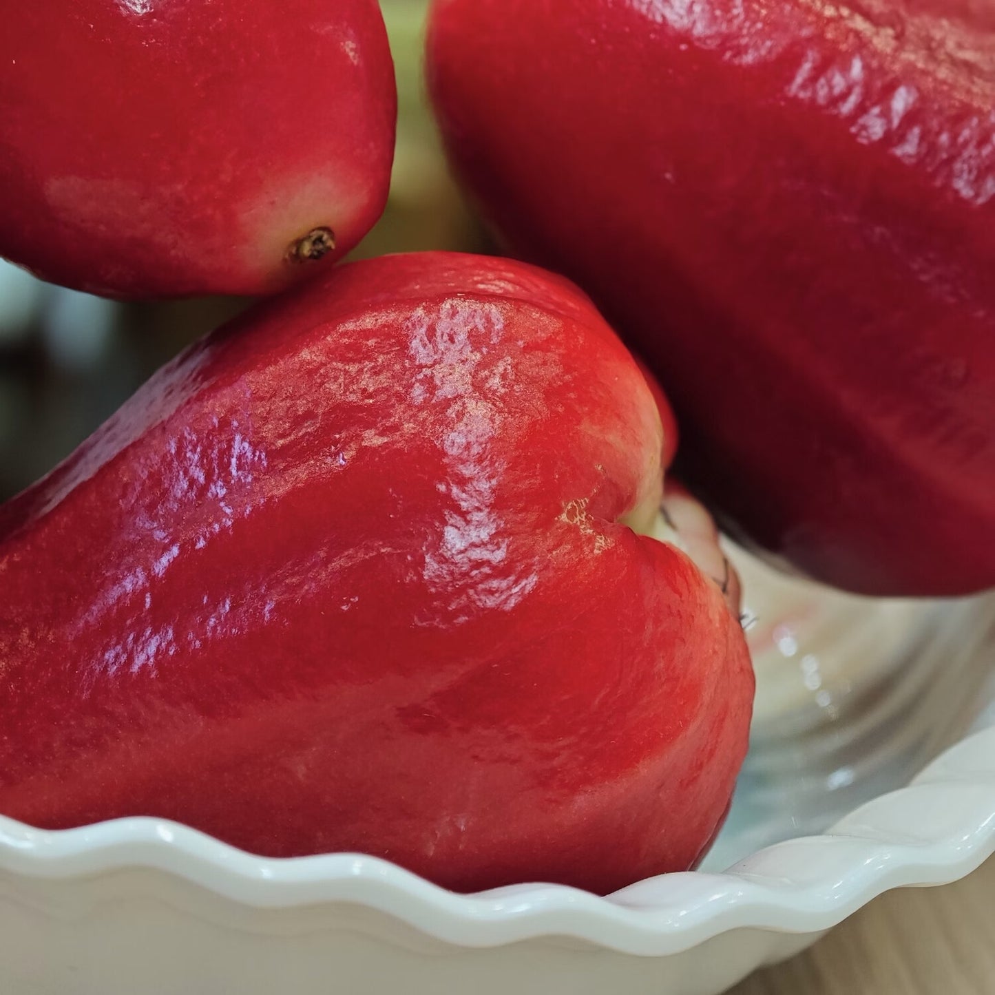 🏡 Farm Fresh, Straight to Your Door🍎 Grow Your Own Wax Apple Tree – Easy-Care & Perfect for Beginners!-ZZZ