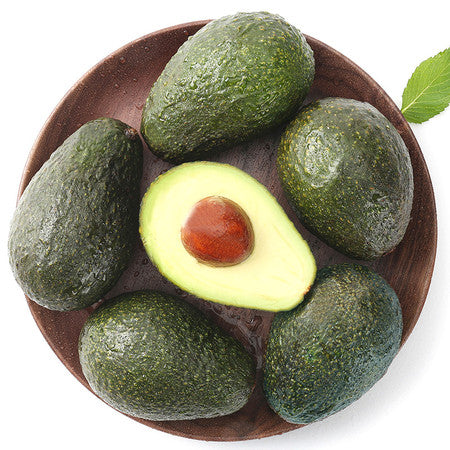 🥑Avocado Growing Kit – Organic Mexican Variety for Home Gardens-ZZZ