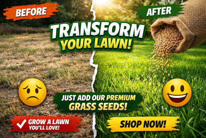🌱 2026 Four Seasons Evergreen Grass Seed | Durable, Vibrant Green All Year-OA