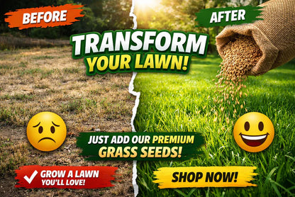 🌱 2026 Four Seasons Evergreen Grass Seed | Durable, Vibrant Green All Year-OA