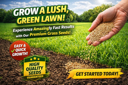 🌱 2026 Four Seasons Evergreen Grass Seed | Durable, Vibrant Green All Year-OA
