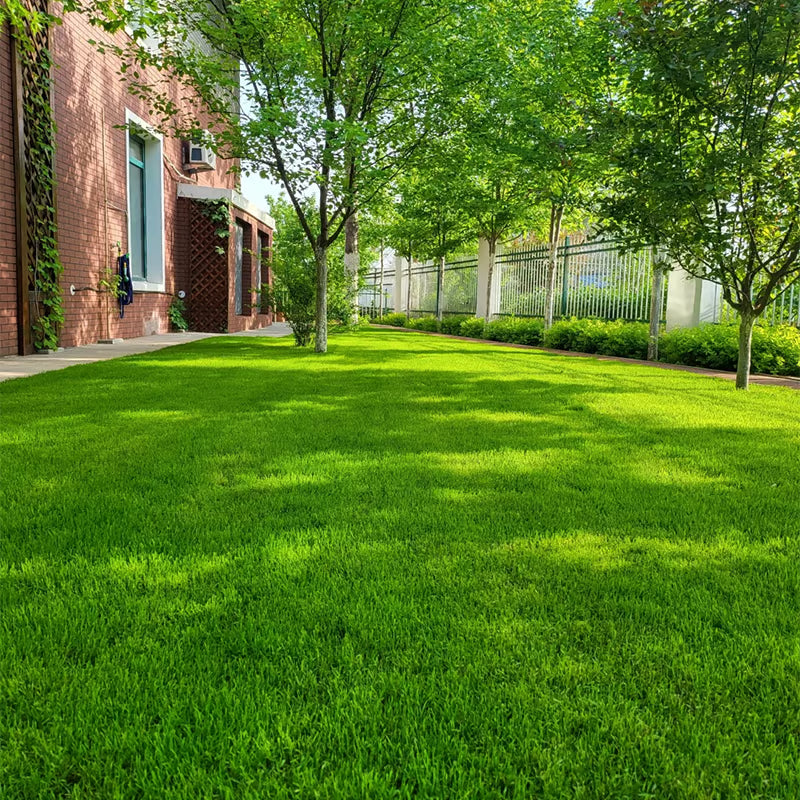 🌱 2026 Four Seasons Evergreen Grass Seed | Durable, Vibrant Green All Year-OA