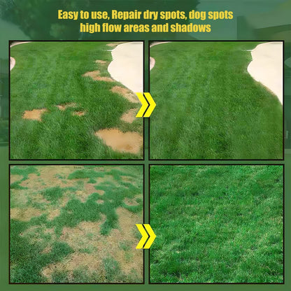 🌱 2026 Four Seasons Evergreen Grass Seed | Durable, Vibrant Green All Year-OA