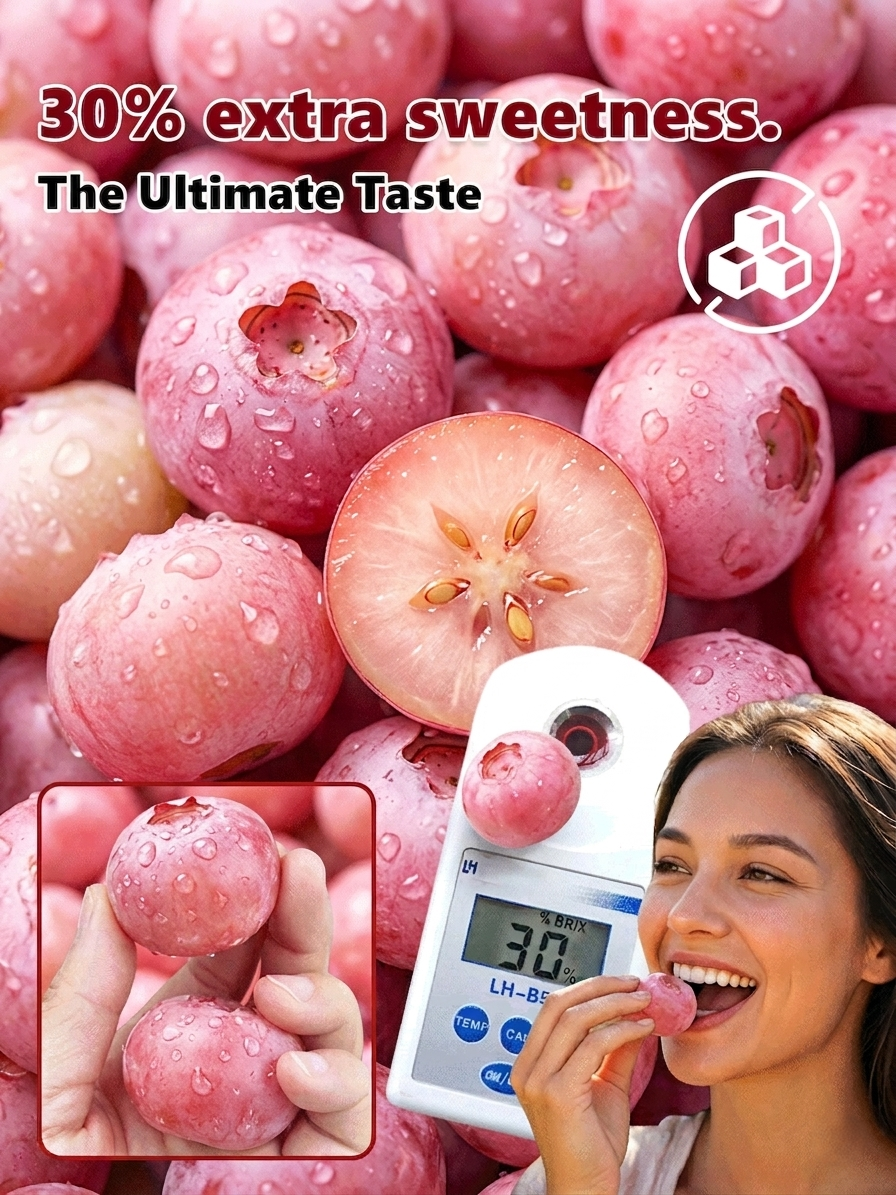 🔥50K+ SOLD!💟Premium Pink Blueberry Sapling– Easy to grow on your porch and balcony at home-OA