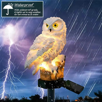 🔥70% OFF & Free Shipping💥 – Waterproof Solar Owl Light -KKK