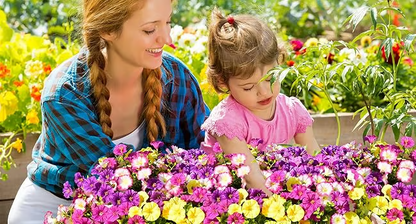 🔥 Last Day 50% OFF 🔥 Realistic UV-Resistant Artificial Flowers – Zero Maintenance, 6/8 Pcs per Set, for Home & Garden-LV