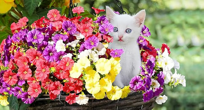 🔥 Last Day 50% OFF 🔥 Realistic UV-Resistant Artificial Flowers – Zero Maintenance, 6/8 Pcs per Set, for Home & Garden-LV