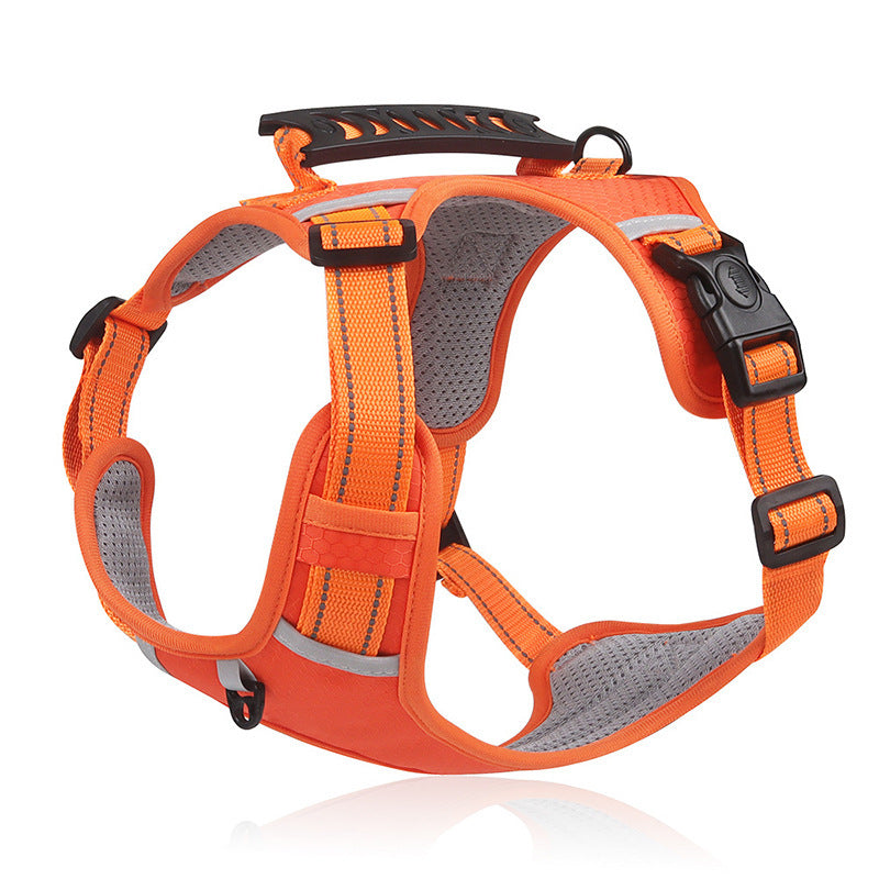 The Ultimate No-Pull Solution: Protect Your Shoulders & Keep Your Dog Safe! ❌💪-EV