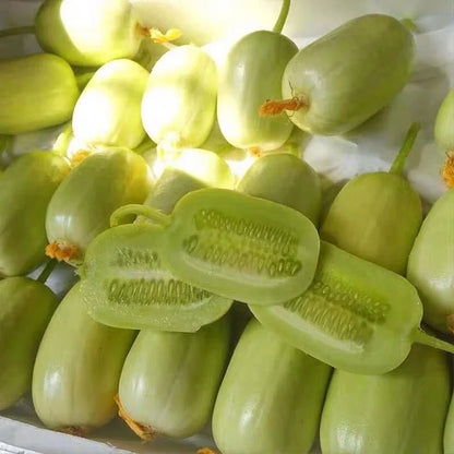🥒 Jade Cucumber — High-Yield Gynoecious Variety (100 Seeds) -KKK