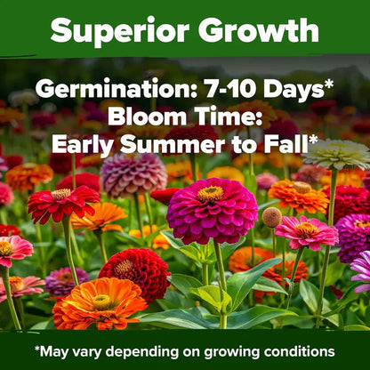 HOME GROWN Mixed Zinnia Blossoms for Planting-TY