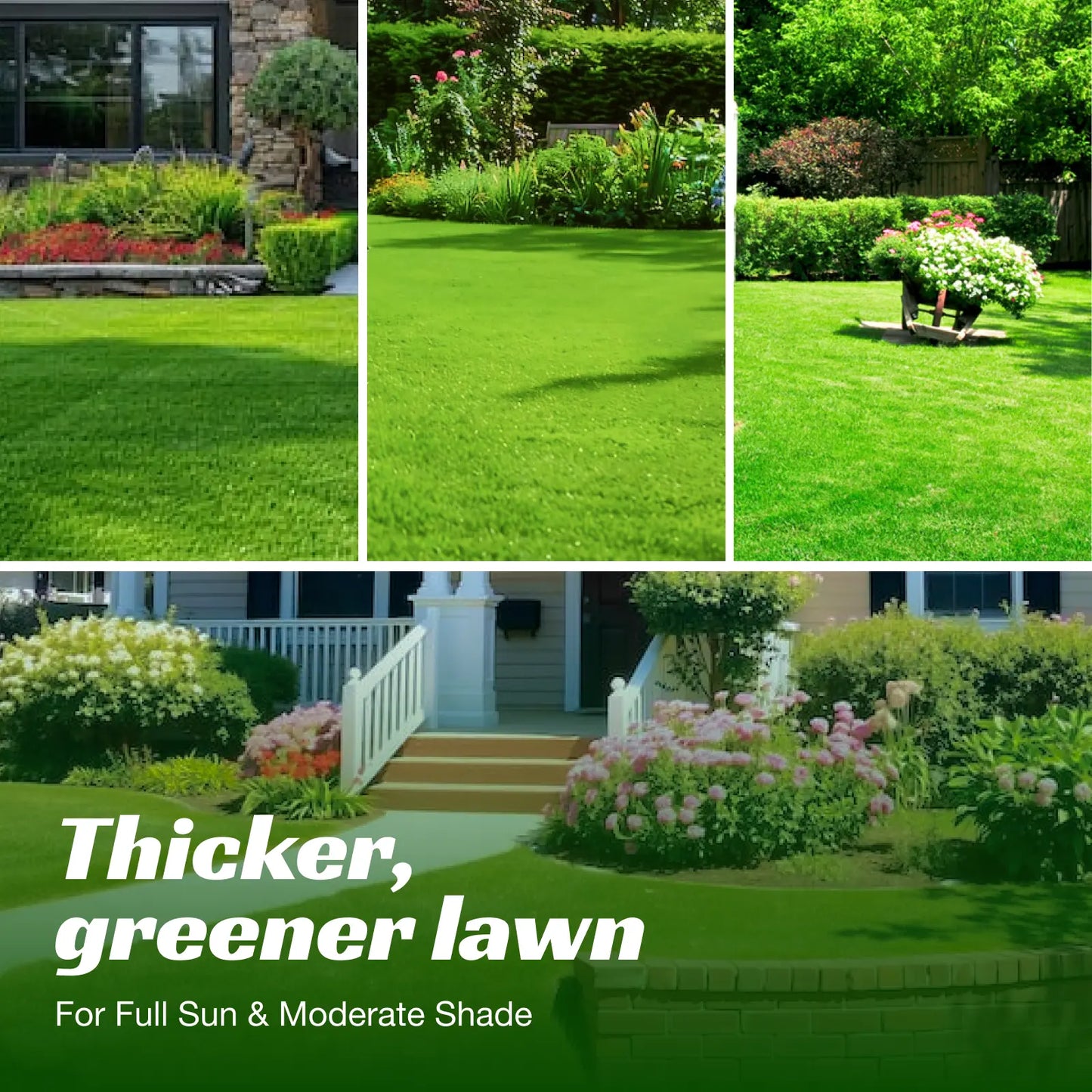💥Early Spring Sale 49% OFF💚 All-Season Grass Seed Blend | Fast, Durable & High-Germination for Premium Turf-EV