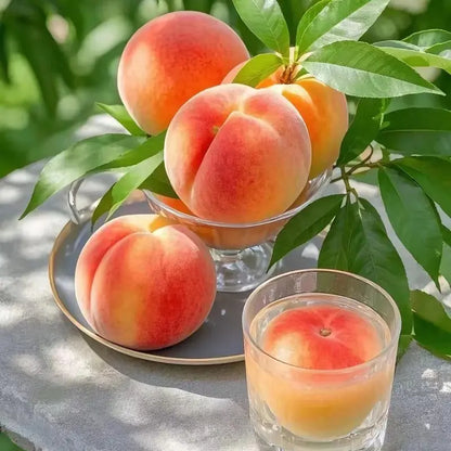 🍑Ultra-Sweet Juicy Peach Tree Planting Kit -KKK