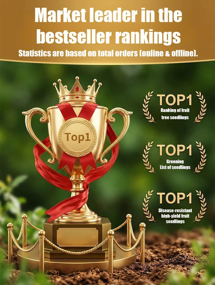 10 Premium Seeds