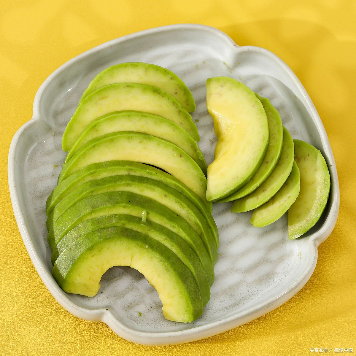🥑Avocado Growing Kit – Organic Mexican Variety for Home Gardens-ZZZ