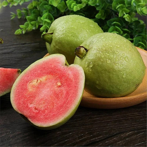 🏆Over 65,000 SOLD!🌿 🍈Tropical Guava Growing Kit for Pots & Gardens-OA