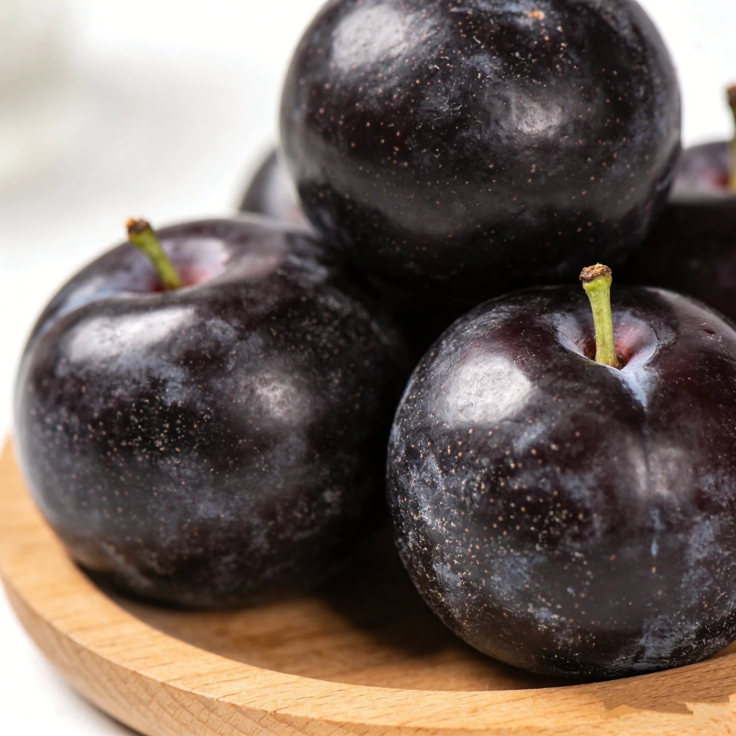 🌱Plum Growing Kit – Sweet Fruit Tree for Home Garden-ZZZ