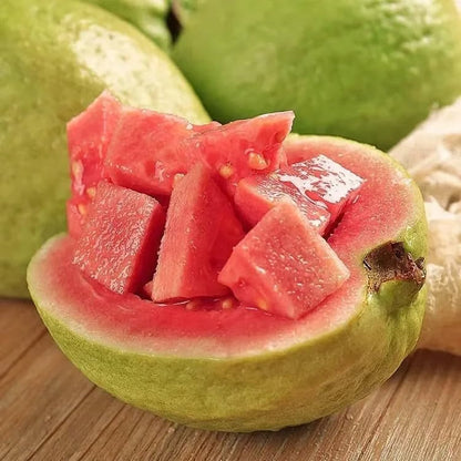 🚜Direct from the Farm ✨🍈Tropical Guava Growing Kit for Pots & Gardens-TY