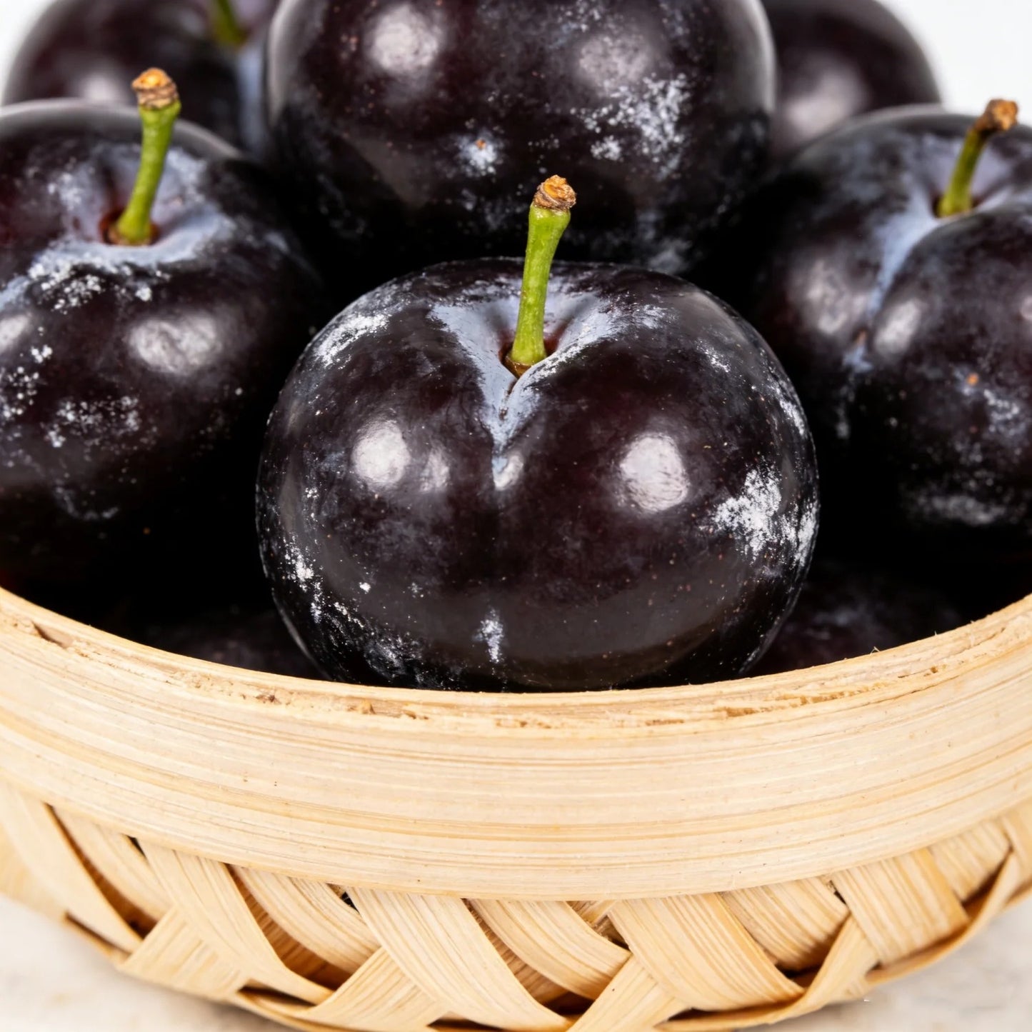 🌱Plum Growing Kit – Sweet Fruit Tree for Home Garden-ZZZ
