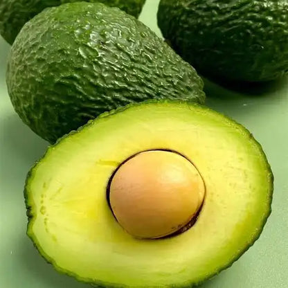 🥑Avocado Growing Kit – Organic Mexican Variety for Home Gardens-ZZZ